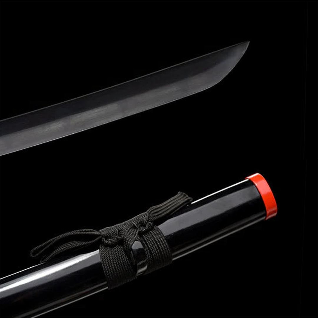 Giyu Sword